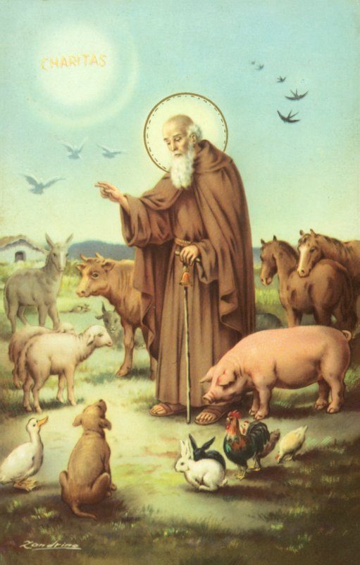 Franciscus van Assisi omringd door dieren (kleurenlitho) door European School