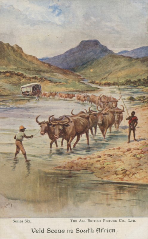 Boeren die vee drijven, Zuid-Afrika door Evelyn Stuart Hardy