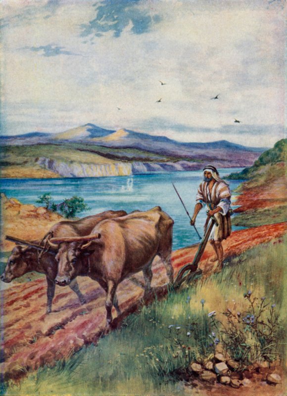 Ploegen in het land van Jezus (kleur litho) door Evelyn Stuart Hardy