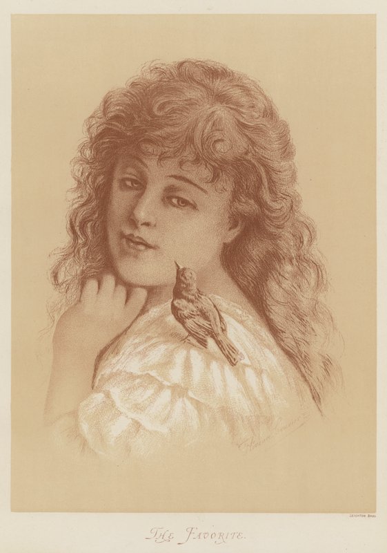 De favoriet door Florence Claxton
