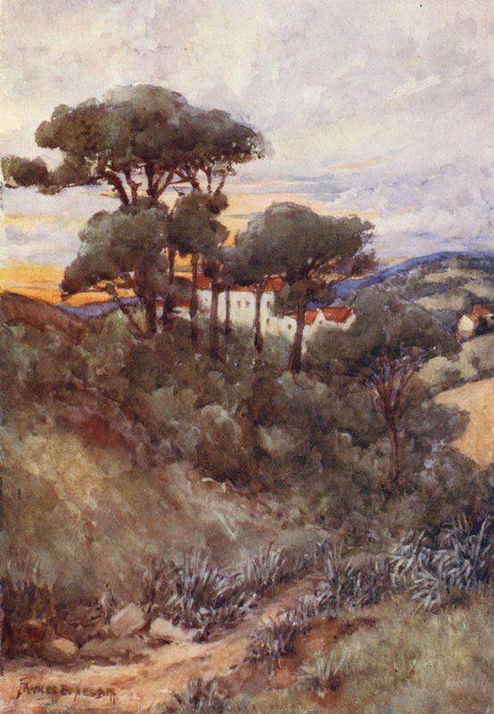 Steeneiken, Algiers door Frances Nesbitt