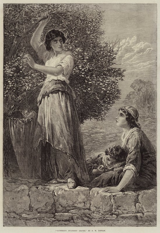 Mulberry Bladeren Verzamelen door Francis William Topham