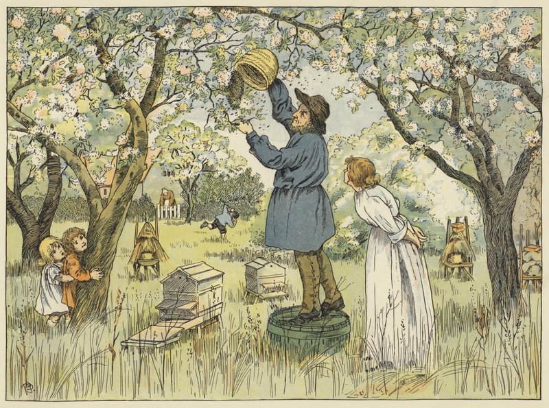 Bijenboer (kleurenlitho) door Francis Donkin Bedford