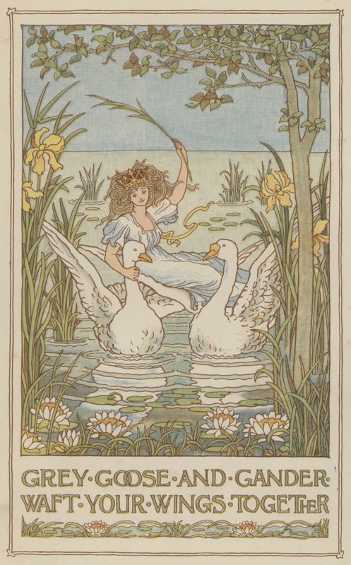 Grauwe gans en snoekbaars vleugels samen (kleurenlitho) door Francis Donkin Bedford