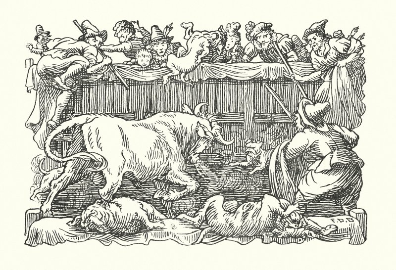 Vrolijk Engeland: Stierengevechten (litho) door Francis Donkin Bedford