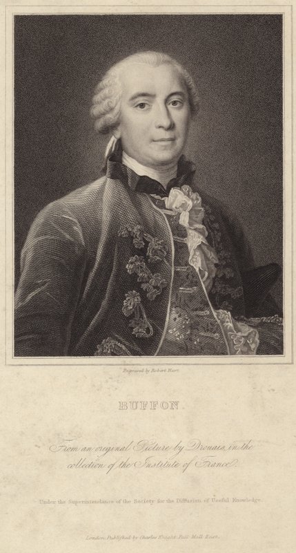 Portret van Georges-Louis Leclerc, Graaf van Buffon door Francois Hubert Drouais