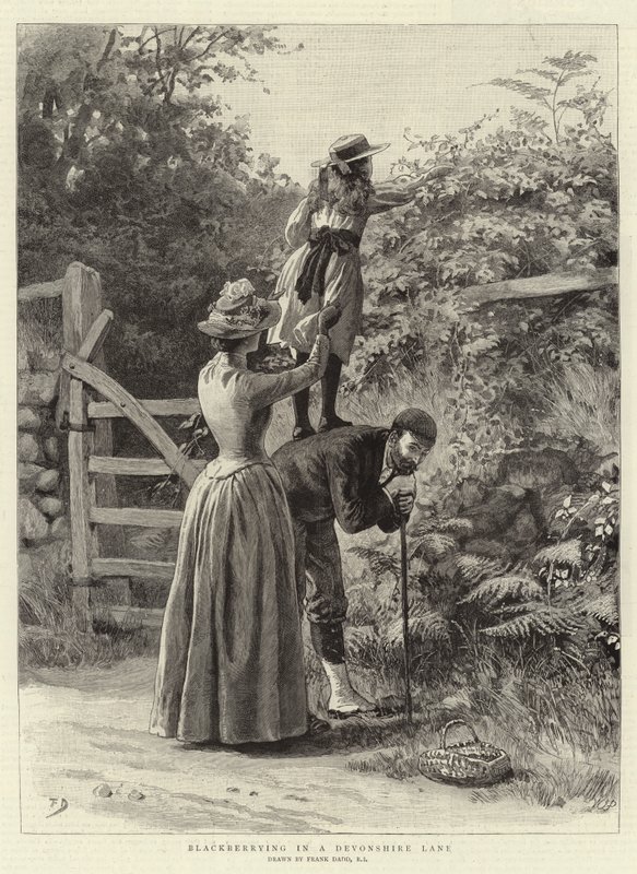 Bramen plukken in een Devonshire laan door Frank Dadd