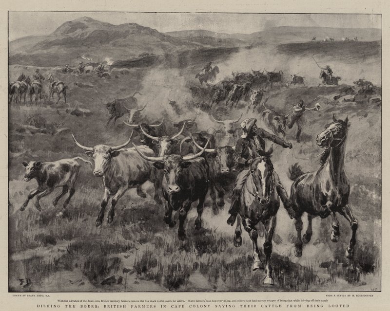 De Boeren verslaan, Britse boeren in Kaapkolonie redden hun vee van plundering door Frank Dadd