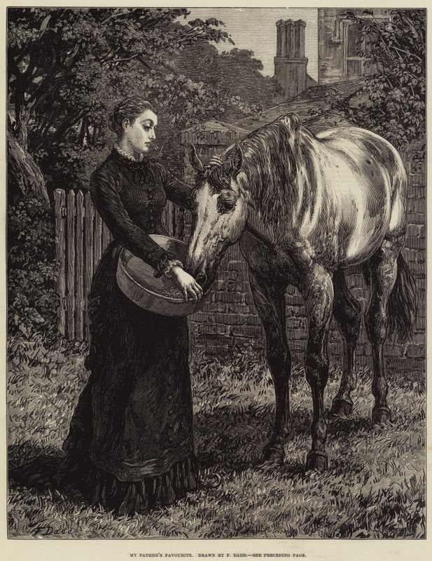 De favoriet van mijn vader door Frank Dadd