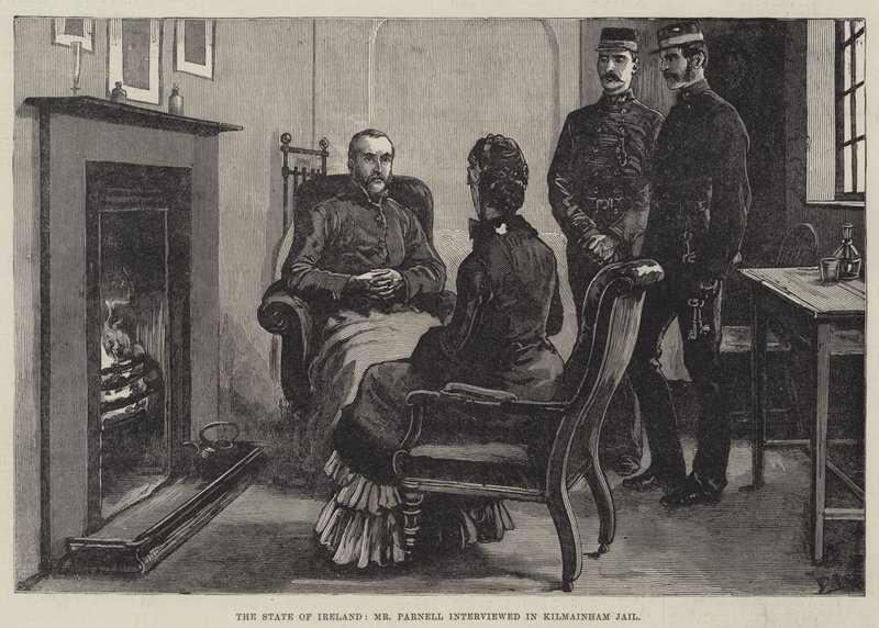 De Staat van Ierland, Mr. Parnell geïnterviewd in Kilmainham Gevangenis door Frank Dadd
