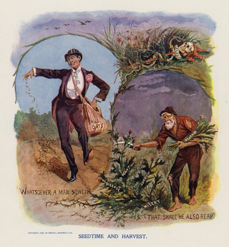 Zaaitijd en oogst (kleurenlitho) door Frank Beard