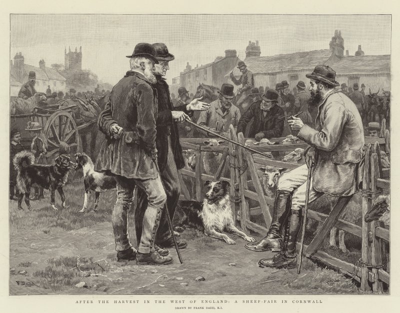Na de oogst in het westen van Engeland, een schapenmarkt in Cornwall door Frank Dadd