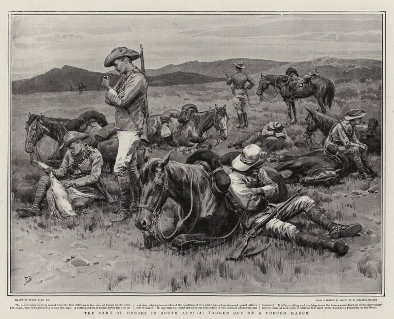 De verzorging van paarden in Zuid-Afrika, uitgeput na een gedwongen mars door Frank Dadd
