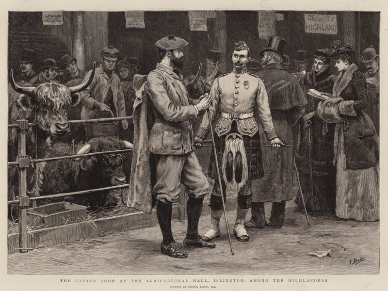 De veeshow in de Agricultural Hall, Islington, onder de Hooglanders door Frank Dadd