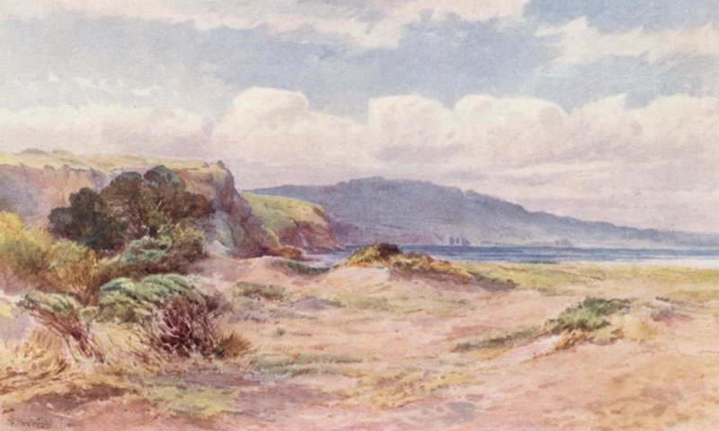 Nieuw-Zeeland: Op het strand van Ngunguru door Frank H Wright