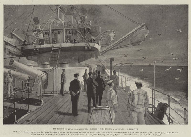 De training van marineoorlogsboodschappers, postduiven verlaten een slagschip bij Plymouth door Fred T. Jane