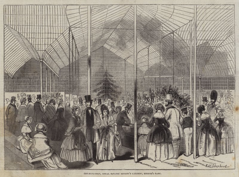 Conservatorium, Koninklijke Botanische Tuinen, Regent