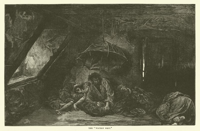 Het waterige nest door Frederick L. Bernard