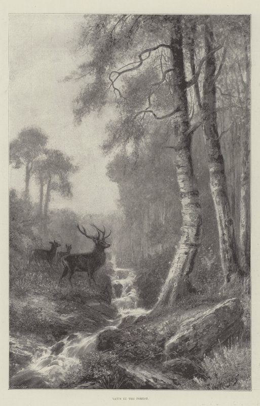 Dageraad in het bos door Frederick William Hayes
