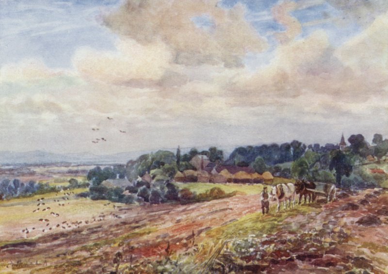 Hongerige Grafton door Frederick William Newton Whitehead