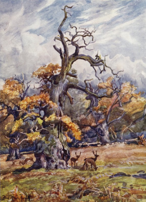 Packington Park door Frederick William Newton Whitehead