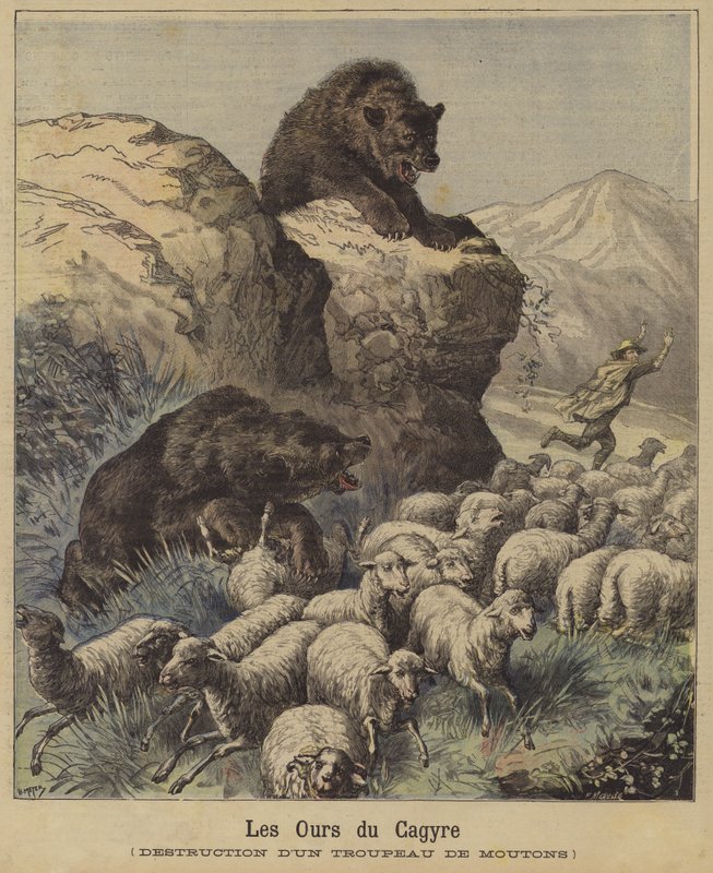 Beren die een kudde schapen aanvallen in de Franse Pyreneeën door French School