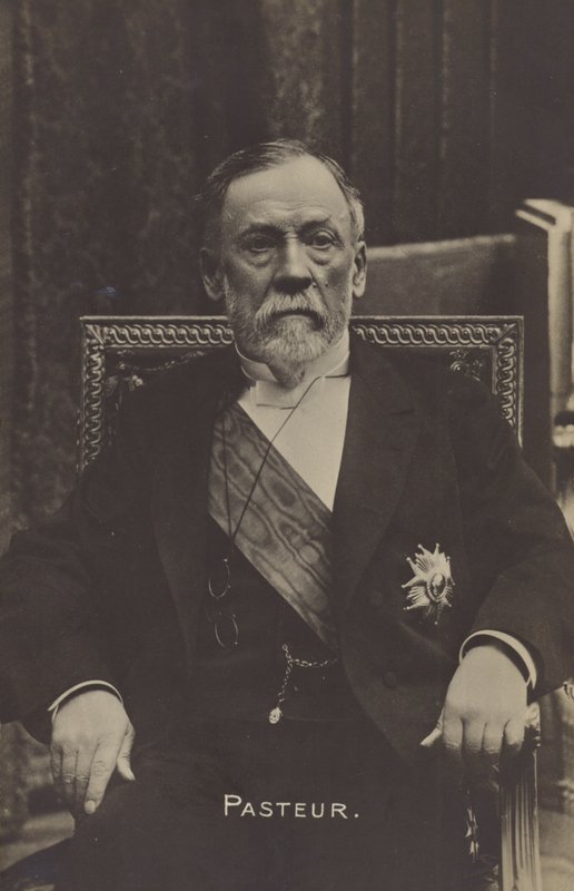 Louis Pasteur (1822-1895), Franse chemicus en microbioloog door French Photographer