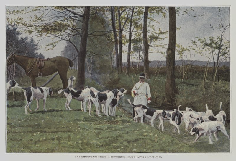 Rondtrekkende honden van Baron de Carayon-Latour in Virelade, Frankrijk door French Photographer