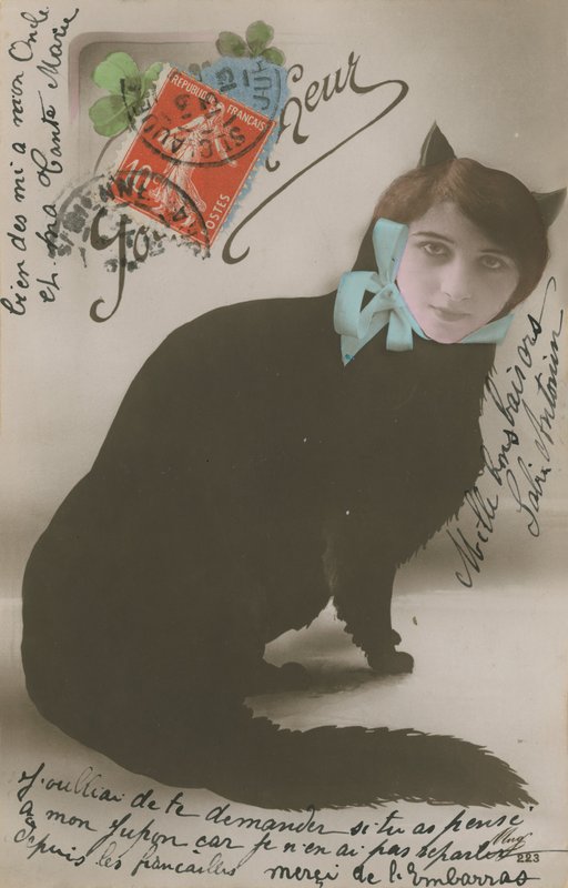 Kat met een vrouwen gezicht door French Photographer