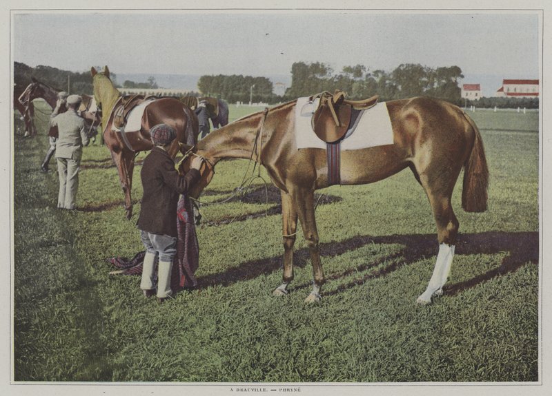 Renpaarden in Deauville, Frankrijk door French Photographer