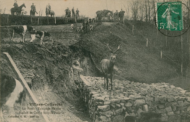 Villers-Cotterets. Het bos - Equipage Menier Hallali de Cerf in Silly-la-Poterie door French Photographer