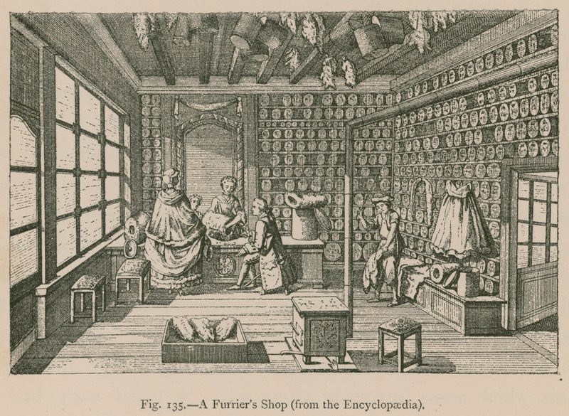 Een bontwinkel (uit de Encyclopaedia) door French School