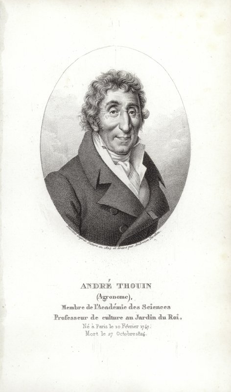 André Thouin door French School
