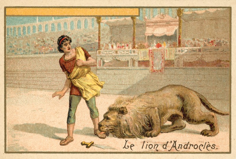 Androcles en de Leeuw door French School