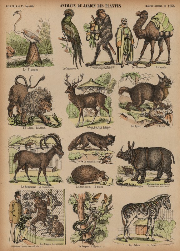 Dieren van de Jardin des Plantes, Parijs, Frankrijk door French School