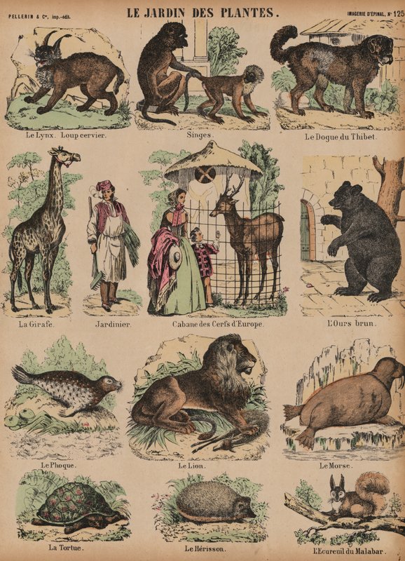 Dieren van de Jardin des Plantes, Parijs, Frankrijk door French School