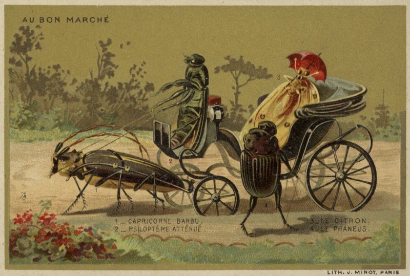 Au Bon Marche kaarten met antropomorfe insecten door French School