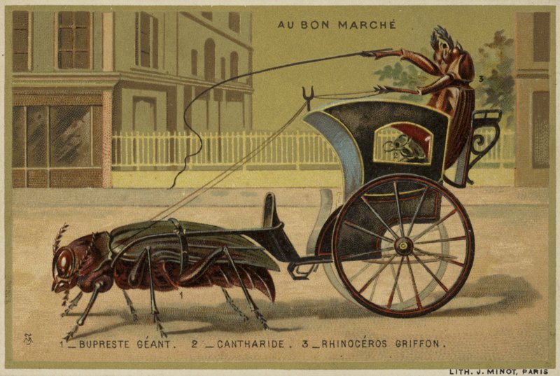 Au Bon Marche kaarten met antropomorfe insecten door French School