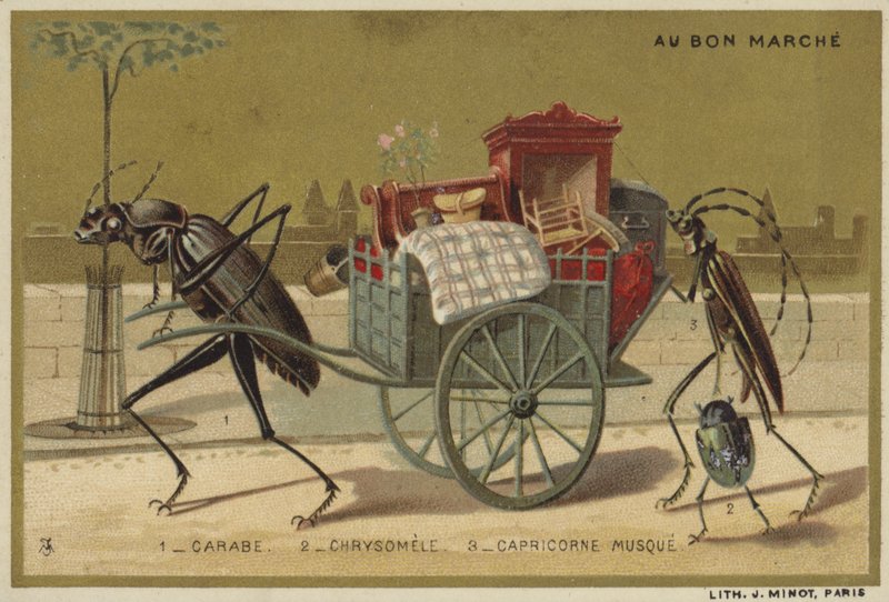 Au Bon Marche kaarten met antropomorfe insecten door French School