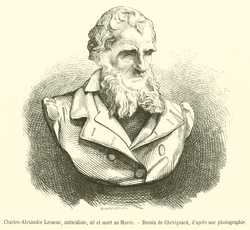 Charles-Alexandre Lesueur, natuuronderzoeker, geboren en gestorven in Le Havre (gravure) door French School