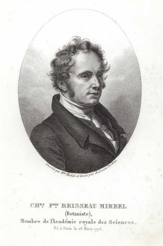 Charles-François Brisseau de Mirbel door French School