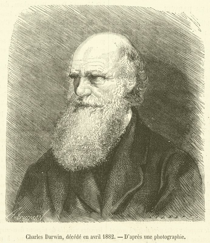 Charles Darwin, overleden in april 1882 door French School