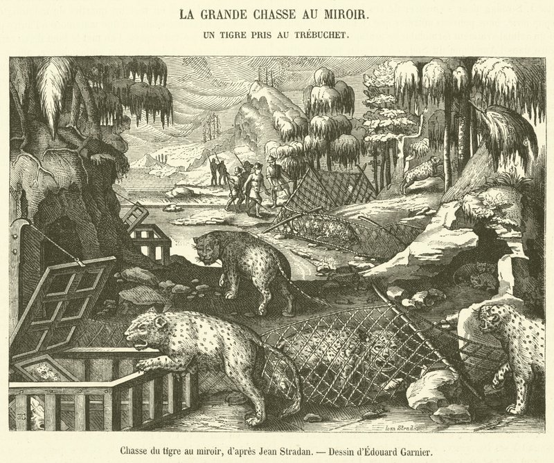 Chasse du tigre au miroir door French School