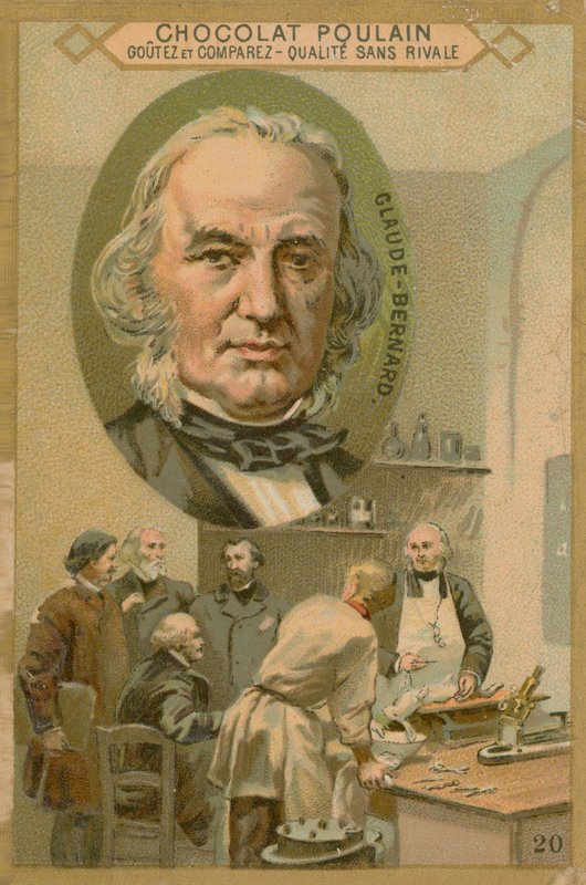 Claude Bernard, Chocolat Poulain handelskaart door French School