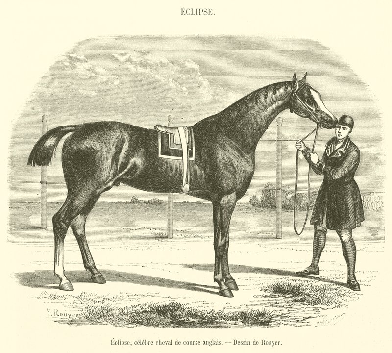 Eclipse, beroemde Engelse renpaard (gravure) door French School