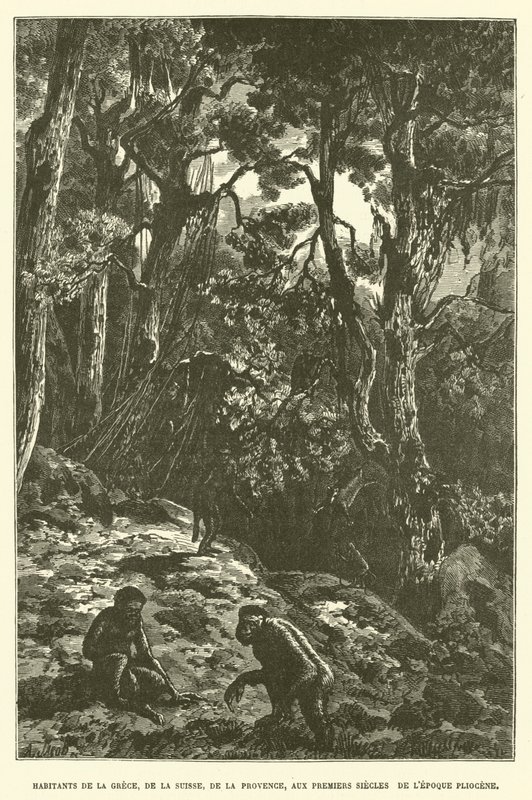 Inwoners van Griekenland, Zwitserland, Provence, in de eerste eeuwen van het Plioceen (gravure) door French School