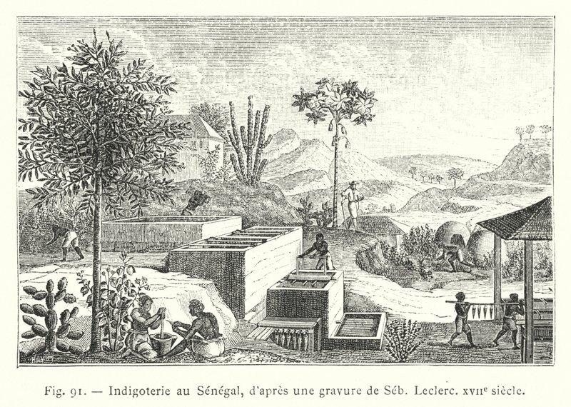 Indigoterie in Senegal, naar een gravure van Seb. Leclerc, 17e eeuw door French School