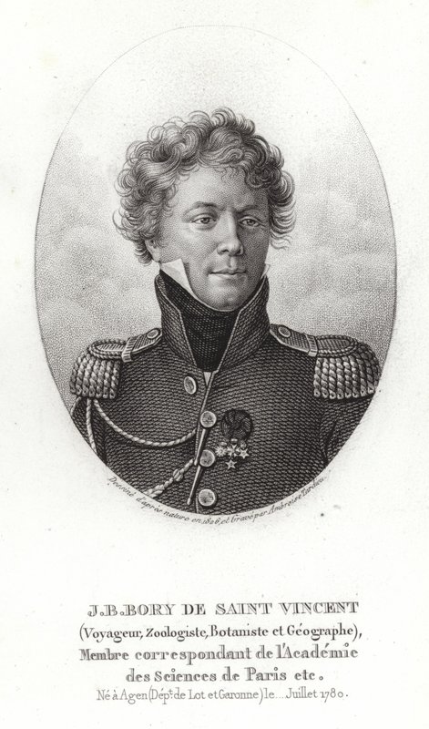 Jean-Baptiste Bory de Saint-Vincent door French School