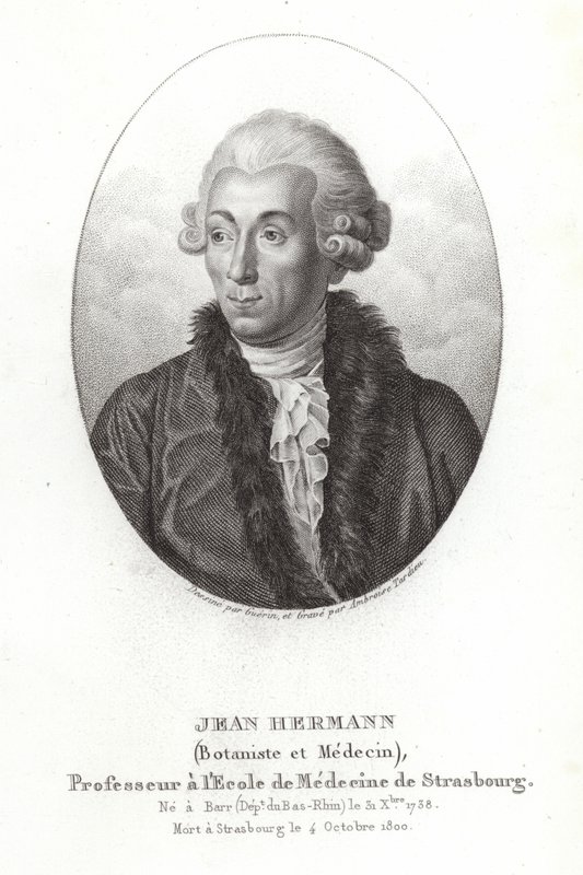 Jean Hermann door French School