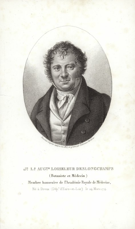 Jean Louis August Loiseleur-Deslongchamps door French School